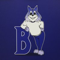 Brookside Bobcats (@brooksidebcats1) 's Twitter Profile