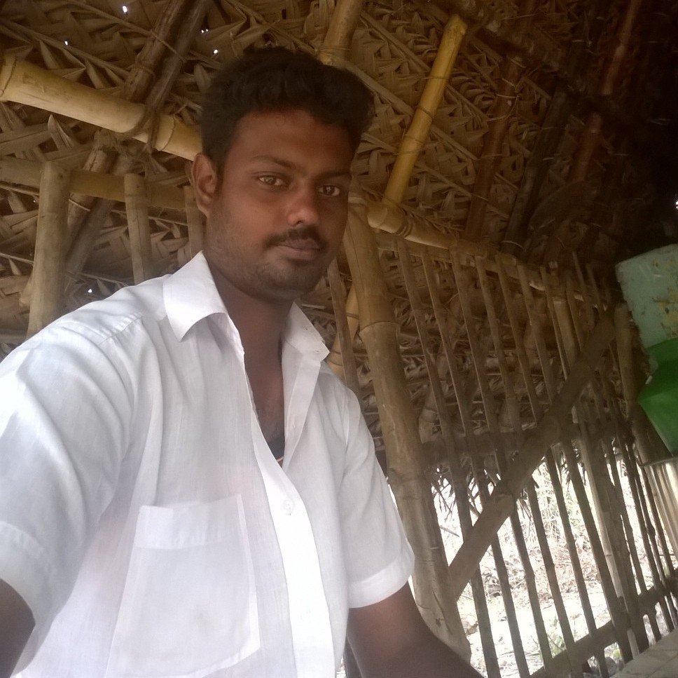 RacerManiraja's profile picture. 