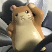 りゅう (@ryu_chang_) 's Twitter Profile Photo りゅう (@ryu_chang_) 's Twitter Profile Photo