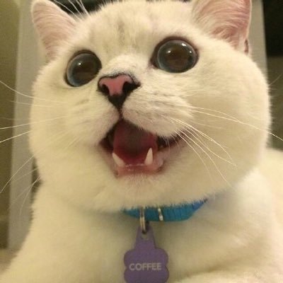 ClarkDu_'s profile picture. Developer