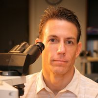 Jim Lewis Jr. (@lewispath) 's Twitter Profile