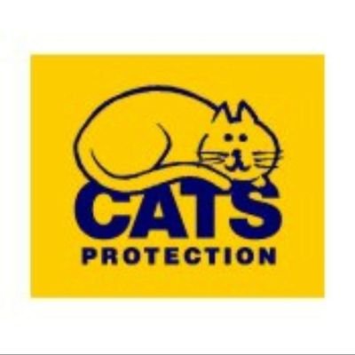 We are a local branch of Cats Protection, consisting of a small group of volunteers helping cats in the Haverhill and Stour Valley area