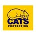 Cats Protection (@haverhillcp) Twitter profile photo Cats Protection (@haverhillcp) Twitter profile photo