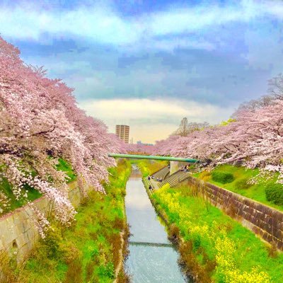 Bikelife_223's profile picture. にんじゃ