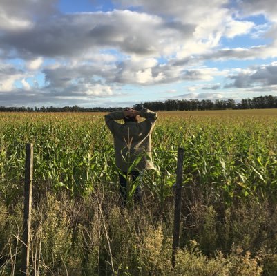 Mbelver's profile picture. Asesora en cosas