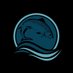 SIFF Capital (@siffcapitalmgmt) Twitter profile photo SIFF Capital (@siffcapitalmgmt) Twitter profile photo