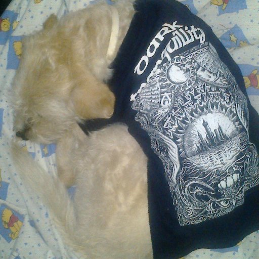 NihilistStoreMx's profile picture. Diseño é impresión de playeras, blusas, sudaderas, ropa interior y accesorios como cinturones, billeteras, bolsas, plumas, stickers, aretes, tazas. etc