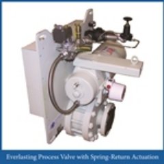 EverlastingVlv's profile picture. 