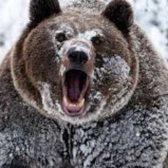 JustinMorasch's profile picture. Just here to learn from others and record some ideas.