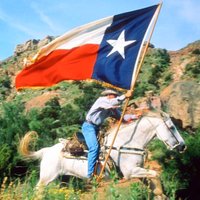 The Texas Flag(@TheTexasFlag) 's Twitter Profile Photo