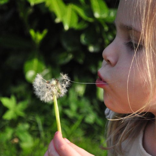 #Postdoc in San Francisco with a Kiddo & passion for science. Setting up a program to help post-doc families survive in the most expensive city on earth!