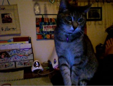 mellowtrouble's profile picture. sometimes in kansai area, japan, sometimes in la paz, bolivia. always reading and learning.