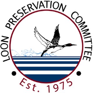 The Loon Preservation Committee works to preserve loons and their habitats in New Hampshire through monitoring, research, management and education.