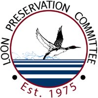 Loon Preservation Committee NH(@lpc_nh) 's Twitter Profile Photo