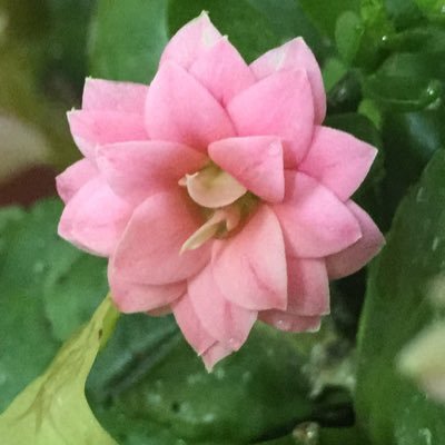 hudao0's profile picture. ' يارب حُسن الحياة وحُسن الرحيل وطِيب الأثر