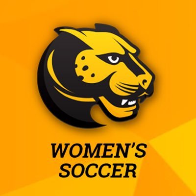 Official account of the Wentworth Institute of Technology Women's Soccer Team 🐯⚽️🔥