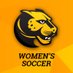 WIT Women's Soccer (@witwsoccer) Twitter profile photo