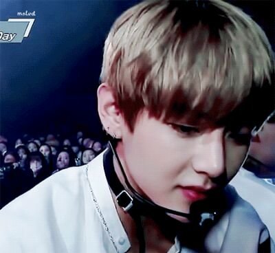 9YPlXcDllv7av6e's profile picture. 안녕하세요 아니쥬때 입덕한 태형이가 최애인 아미입니다.😍