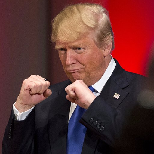 TrumpPunchBags's profile picture. who is next?