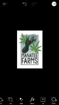 SunshineStateC1's profile picture. Cannabis consultation and delivery,helping educate and understand the cannabis plant and its effects on everyone differently. We build grow rooms also.
