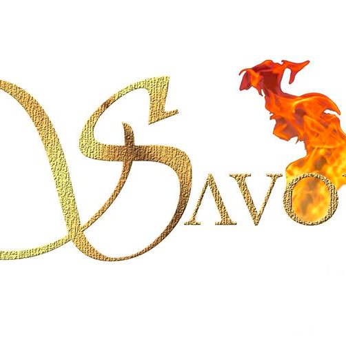 Savo' Bar and Grille is the city's premier fusion destination. There is a gourmet food experience in every trip to Savo 
2800 South Avenue Yo,OH

(330) 781-5425