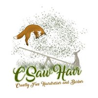 catherine sawyer (@csawhair) 's Twitter Profile