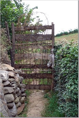 jenkoz's profile picture. 