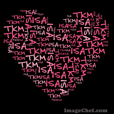 Eu amo Justin Bieber, Isa TKM, Jonas Brothers, Demi Lovato e a Saga Crepúsculo.