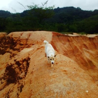 meier_dale's profile picture. Finding my way in this beautiful world we live in.