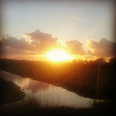 adinamc's profile picture.