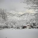 Terry Kees - @terrykees - Twitter