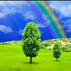 Muhamma15620668's profile picture. Hi