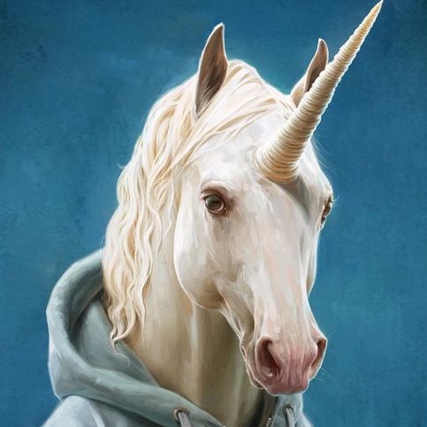 ___IgniS's profile picture. 