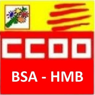 CCOOHMB's profile picture. La Secció Sindical de CCOO del HMB, com a sindicat de classe, vetllem pel compliment dels drets col·lectius de totxs les treballadores