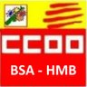 CCOOHMB's profile picture. La Secció Sindical de CCOO del HMB, com a sindicat de classe, vetllem pel compliment dels drets col·lectius de totxs les treballadores