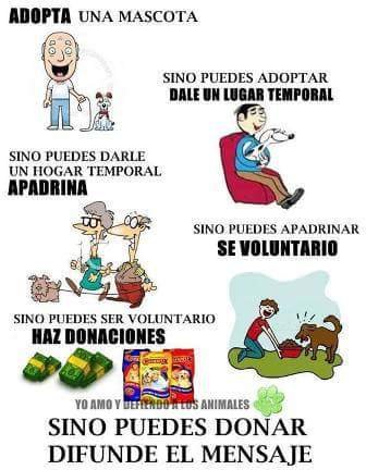 anarod1987's profile picture. Cristiana, dominicana, dog lover, etc. Rep. Dom.  |