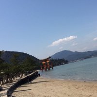 SYuTO (@syuto12975656) 's Twitter Profile