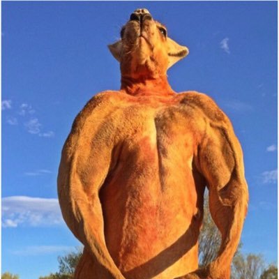 MusicPiab's profile picture. 5月12日 歌舞伎町DECABARZで始動！ #psychedelic インスタグラム→piab.music