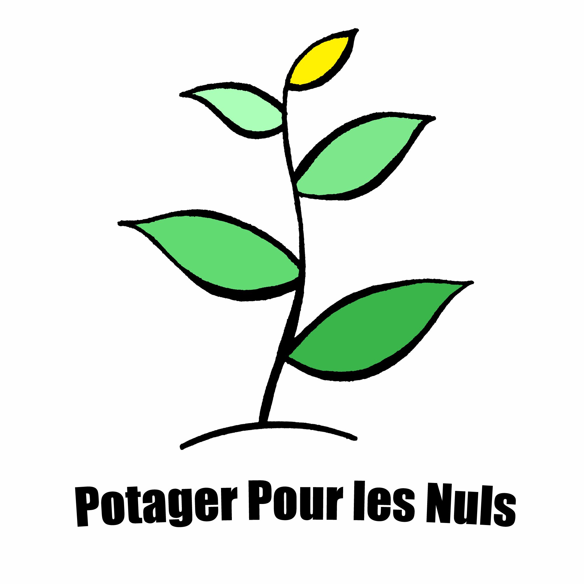 🌱 Apprendre les bases du #Jardinage pour bien démarrer un #Jardin #Potager et pour récolter vos #Fruits et #Legumes #Bio !