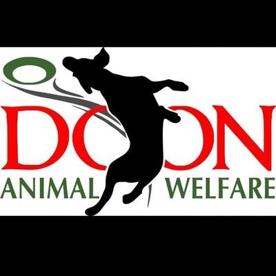 Doon Animal Welfare (@doon_animal) / Twitter