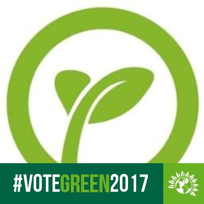 ipswichyg's profile picture. Youth and Student Group for the Ipswich Green Party. 🌻 
Tweets by the Ipswich Young Green Team. ✊💚