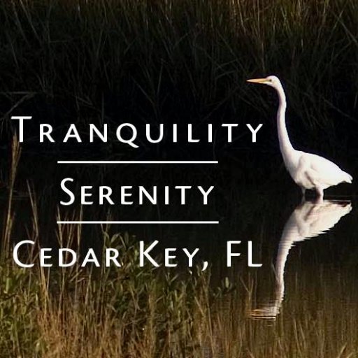 I Love Cedar Key Florida.https://t.co/qvPHkniYAF, Facebook, https://t.co/zBNbDfvnU2