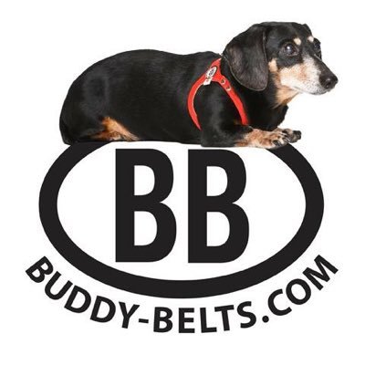 Buddy Belts | Dog Harness | @Buddy_Belts | https://t.co/TktUTU9dA8 | Shop Now: https://t.co/AAJfA2jhzM | IG: @buddybelts