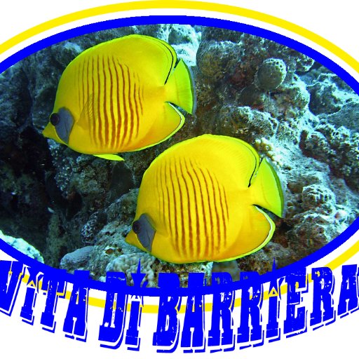 Vita Di Barriera-
Il Meglio del Reef
Magazine di Acquariofilia Dolce e Marina