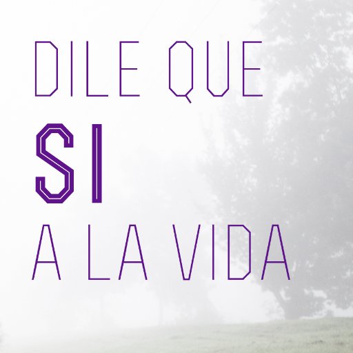 controladroga's profile picture. Grupo de estudiantes del Grado de Trabajo Social en la Universidad Pablo de Olavide. Esto es una cuenta ficticia para la asignatura de Nuevas Tecnologías.