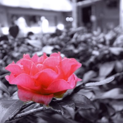 fumico47's profile picture. 普っ通～の毎日に 浴びるほどの音楽と 一匙の笑い これだけでレベルアップ可能♪全力で走れぇ♪