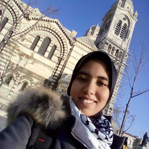 AmaRabab's profile picture. Visez toujours la lune. Même si vous ratez, vous atterrirez parmi les étoiles.