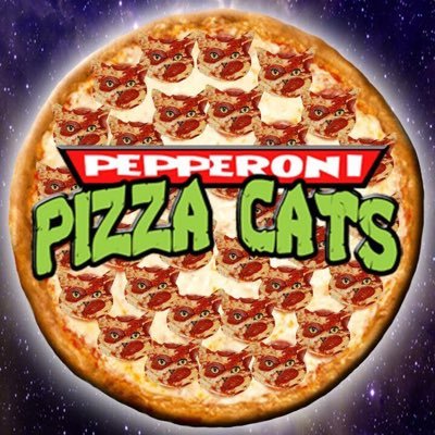 Your friendly neighbourhood Pepperoni Pizza Cats! 🍕🐈♥️