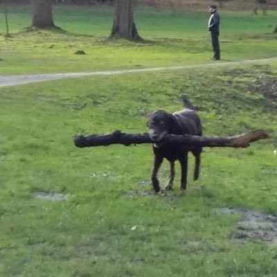 ChrisWasher7206's profile picture. 