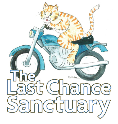 The Last Chance Sanctuary is a not-for-profit Florida corporation whose primary goal is to provide
a safe haven for feral cats of southern Brevard County.